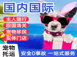 天河机场快递国际宠物托运 【国